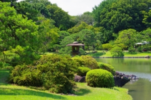 tokyo_rikugien tokyo rikugien
