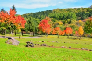 hokkaido furano asahigaoka sogo city park